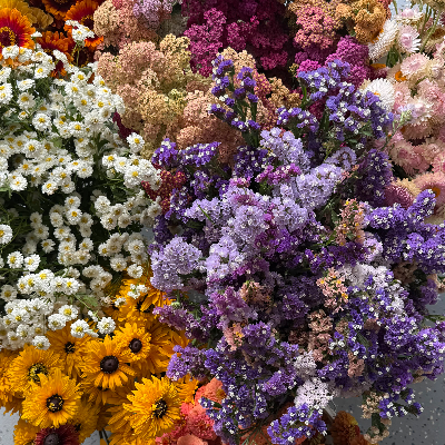 Farm Fresh Cut Flowers