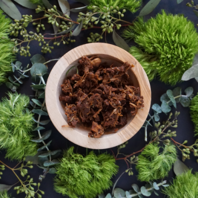 Plant-Based Jerky