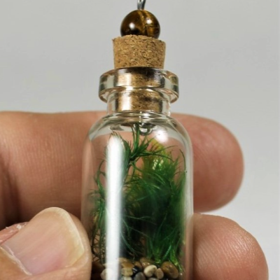 Miniature Moss Terrariums Necklaces