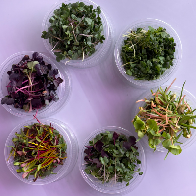 Organic Microgreens