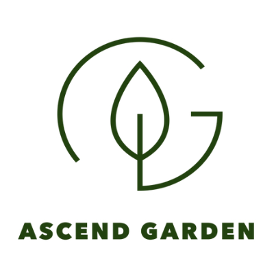 Ascend Garden Boodle Fight + Local Marketplace