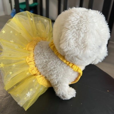 Summer Doggy Tutu's