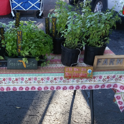 Herbs And Other Edible Plants
