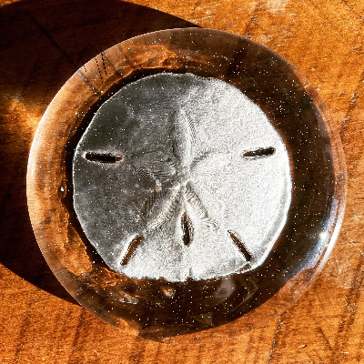 Glass Covered Sand Dollar