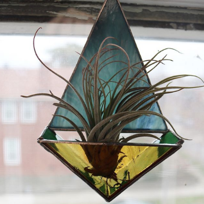 Air Plant Holders