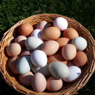 Eggs
