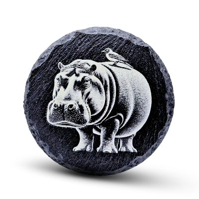 Engraved Coasters/Decorative Pieces