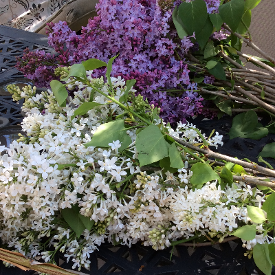 Seasonal Assorted Bouquets