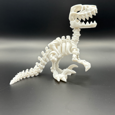 3d Printed Skeleton Toys