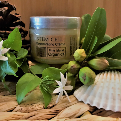 Botanical Stem Cell Skin Renewal Duo For All Skin Types