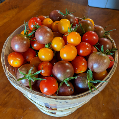 Tomatoes - Cherry Tomatoes