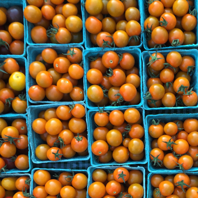 Tomatoes - Certified Organic