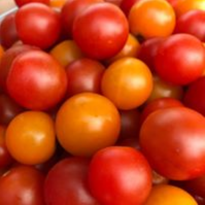 Cherry Tomatoes