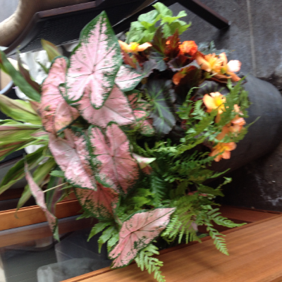 Container Garden By Peterson's Petals