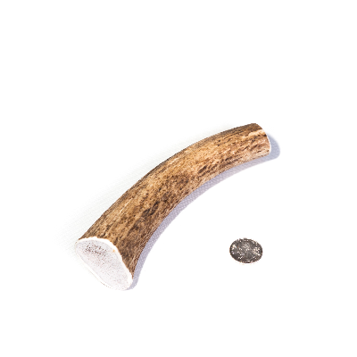 Medium Whole Antler Dog Chew (Elk Or Deer)