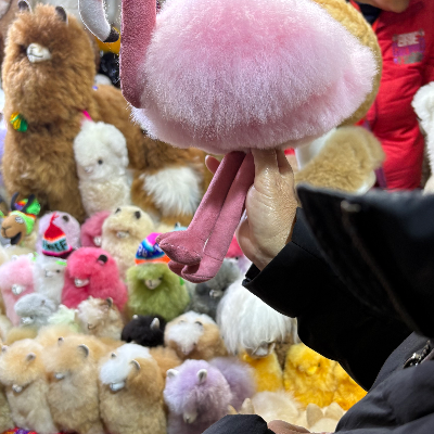 Alpaca Stufffed Animals