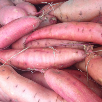 Sweet Potatoes - Certified Organic