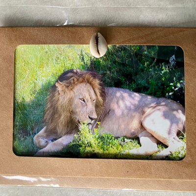 Picture Greeting Cards