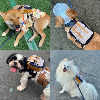 Ruffsack Handmade Dog Backpack With Harness – Dale In Navy