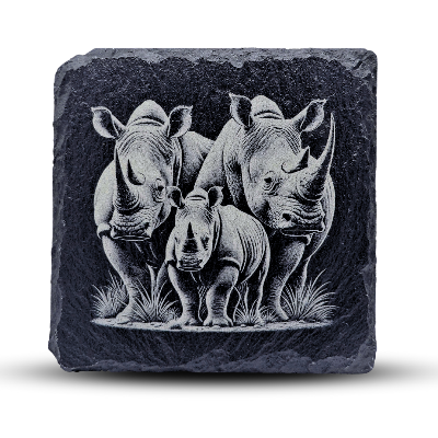 Engraved Coasters/Decorative Pieces