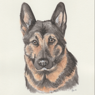 Pet Prints
