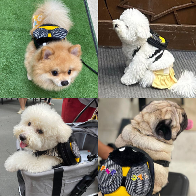 Ruffsack Handmade Dog Backpack With Harness – Bumble