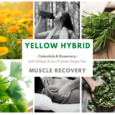 Yello Hybrid - Muscle Recovery Tea