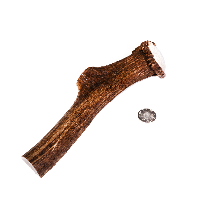 Large Split Antler Dog Chew