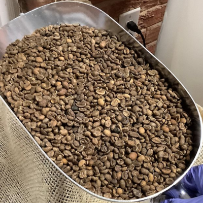 Ethiopia Select Decaf 12 Oz