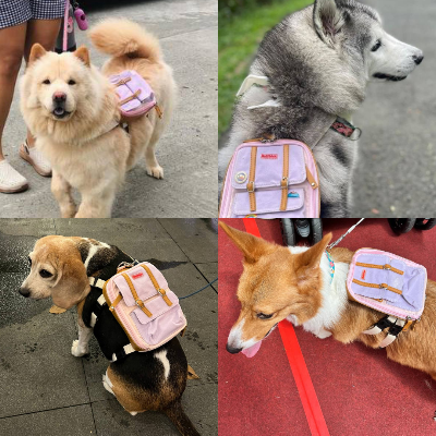 Ruffsack Handmade Dog Backpack With Harness – Dale In Pink