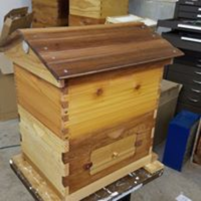 Hive Boxes And Components