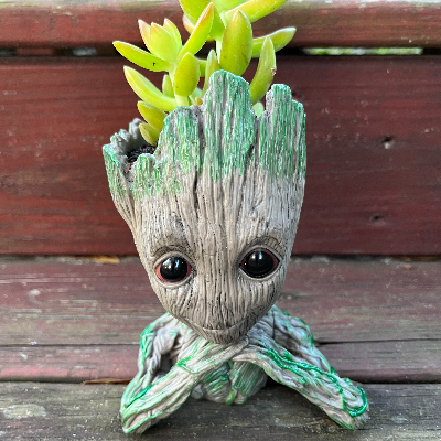 Thoughtful Groot Pot With Succulent