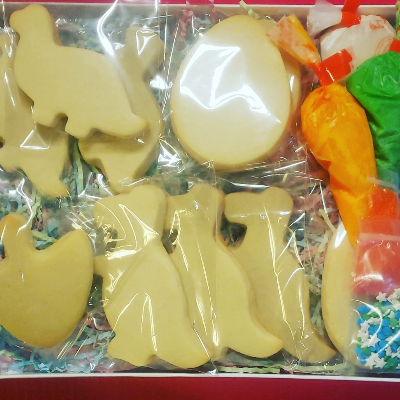 Decorate Your Own Cookie Kits - Dino Set