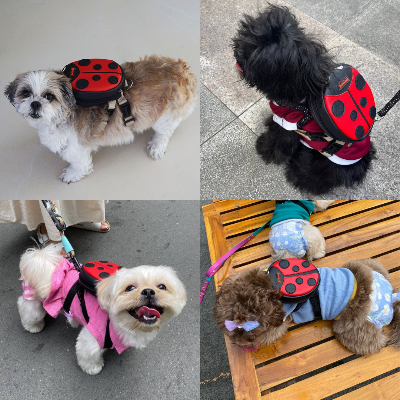 Ruffsack Handmade Dog Backpack With Harness - Lucy