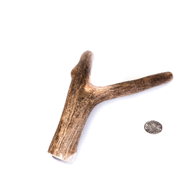 Large Whole Antler Dog Chew (Elk Or Deer)