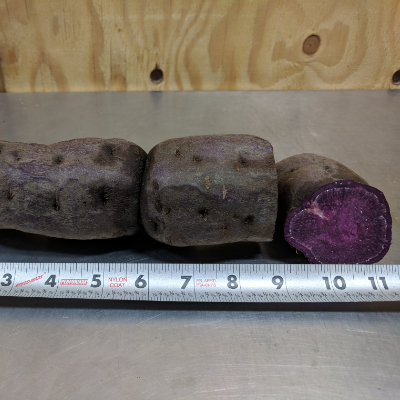 Purple Molokai Sweet Potato