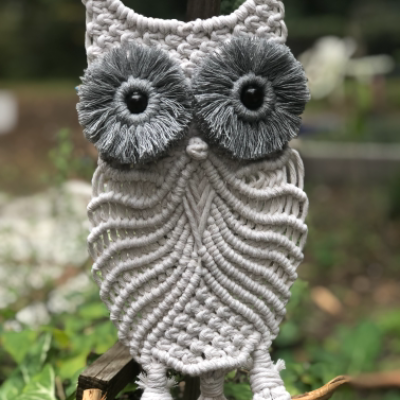 Perched Owl