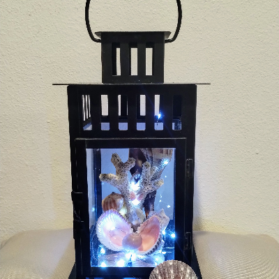 Lantern With Shell Sculpture & Fairy Lights