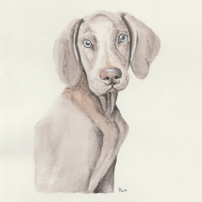 Pet Prints
