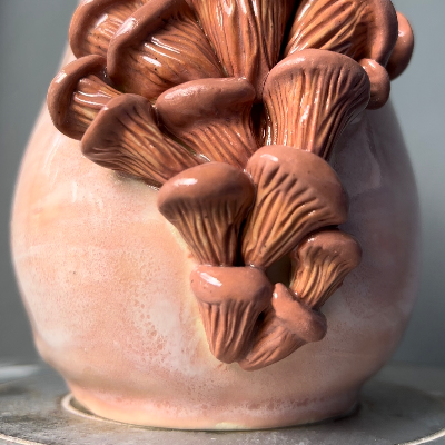 Large Pink Oyster Mushroom Mug