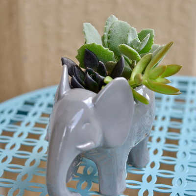 Sample Of Mug Planters