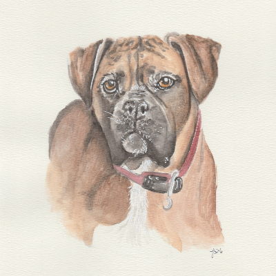 Pet Prints