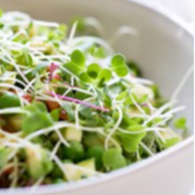 Micro-Salad Mix Broccoli,,Cabbage,,Kohlrabi,,Radish