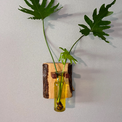 Unique Cedar Wall Planter With Philodendron
