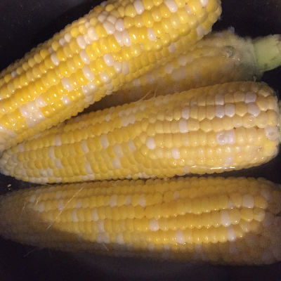 Corn (Sweet)