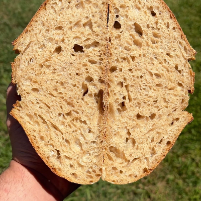Sourdough Breads