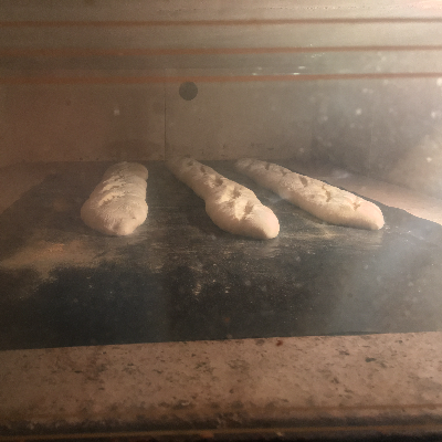 Sourdough Baguettes