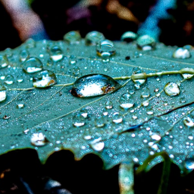 Large Format Fine Art Photography Prints