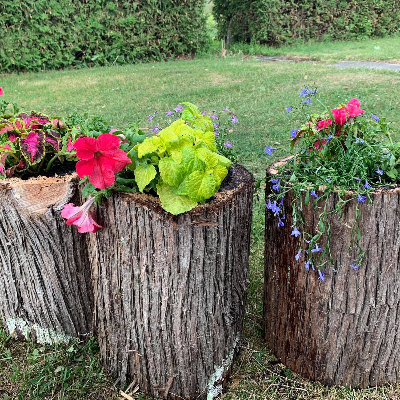 Cedar Planters