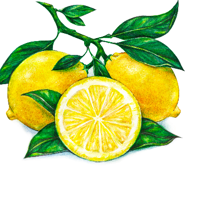 Lemon Ginger